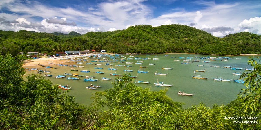 Pantai Segara Anakan